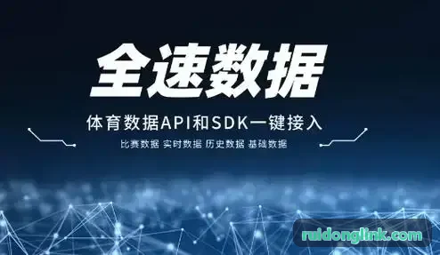 锐动核心拓扑网络